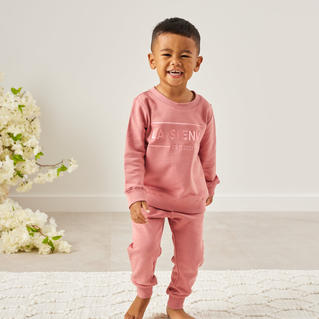 cinder-rose colour baby boys tracksuit set with logo