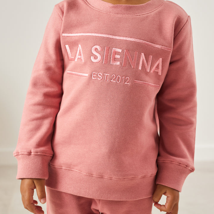 cinder-rose colour baby unisex tracksuit set with logo